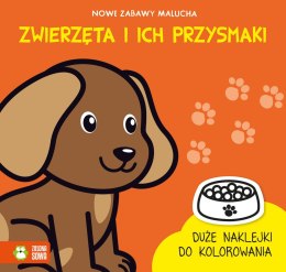 Książeczka edukacyjna Zielona Sowa Zwierzęta i ich przysma