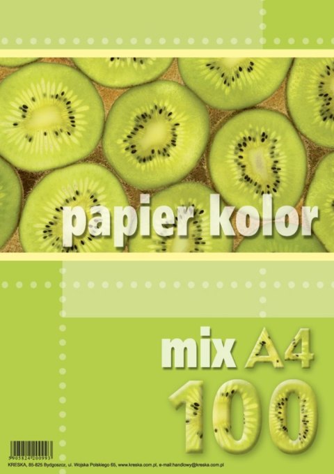 Papier kolorowy Kreska A4 mix 80g