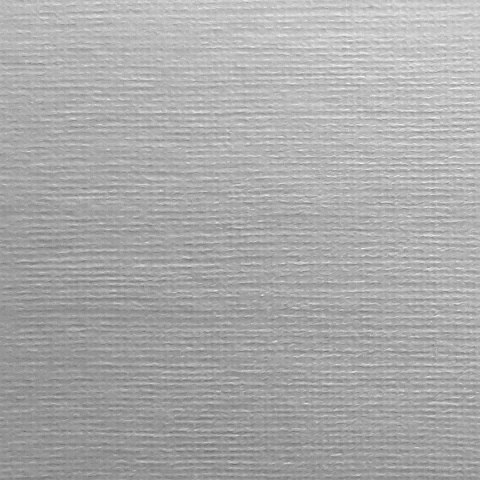 Papier ozdobny (wizytówkowy) A4 płótno biały 100g Protos