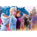 Puzzle Magiczna wyprawa 24 el. Trefl (14298)