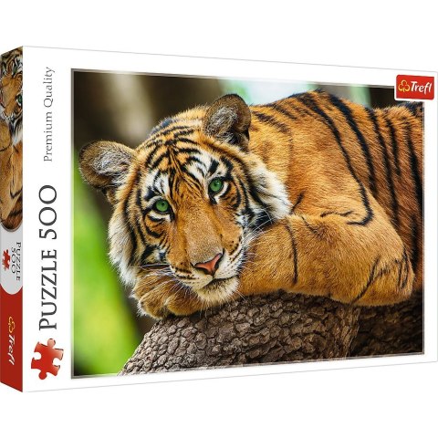 Puzzle Portret tygrysa 500 el. Trefl (37397)