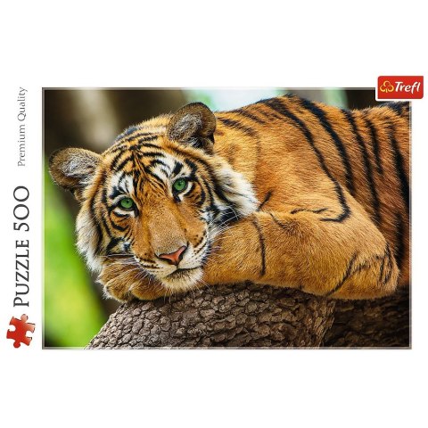Puzzle Portret tygrysa 500 el. Trefl (37397)