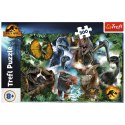 Puzzle Trefl 300 el. (23013)