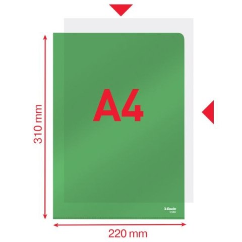 Ofertówka A4 kolor: zielony typu L 150 mic. Esselte (55436)