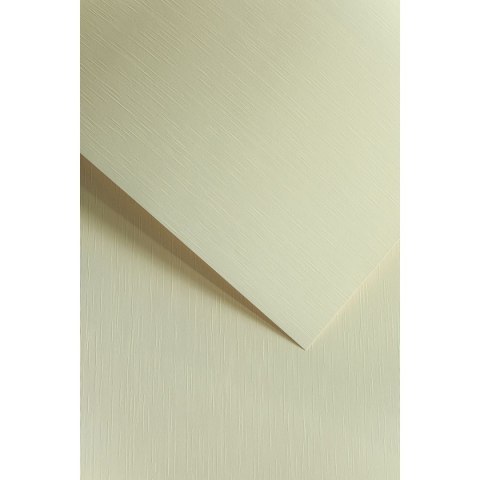 Papier ozdobny (wizytówkowy) A4 batyst kremowy kremowy 180g Galeria Papieru (204112)
