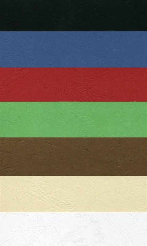 Karton do bindowania A4 biały 250g Argo (407011)