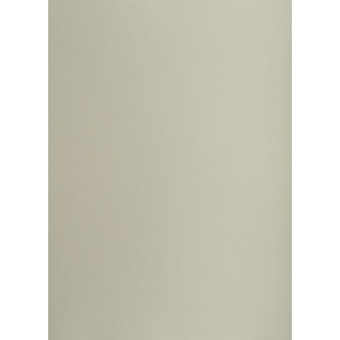 Brystol A1 szary 160g 25k [mm:] 610x860 TOP-2000 (400149523)