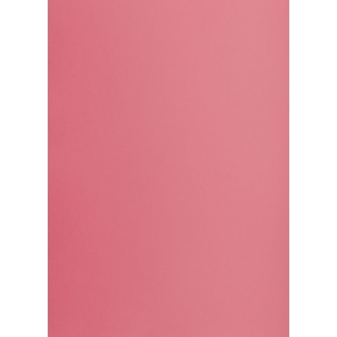 Brystol RÓŻOWY B2 różowy 225g 25k Creatinio (400150329)