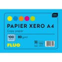 Papier kolorowy Interdruk A4 mix (PAKSA4FLUO)