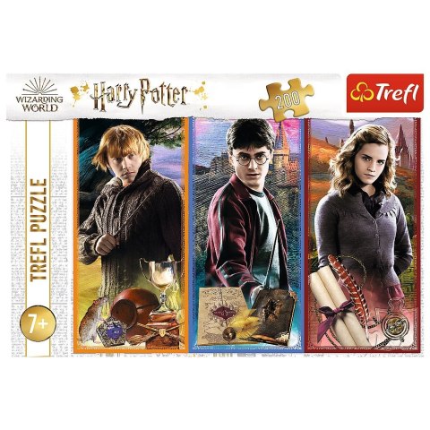 Puzzle W świecie magii i czarów 200 el. Trefl (13277)
