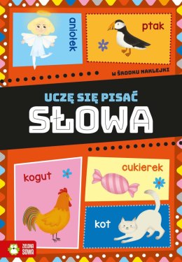 Książeczka edukacyjna Zielona Sowa Uczę się pisać. Słowa