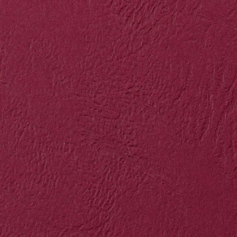 Karton do bindowania delta A4 czerwony 250g Argo (407041)