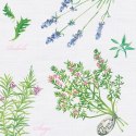 Serwetki mix bibuła [mm:] 330x330 Pol-mak (Sd)