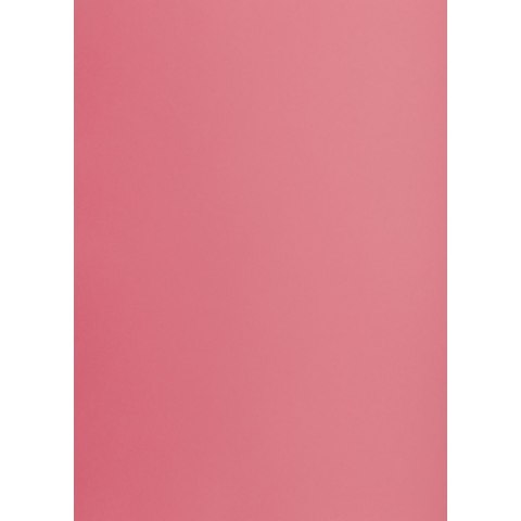 Brystol A3 różowy 160g 25k [mm:] 297x420 TOP-2000 (400150232)