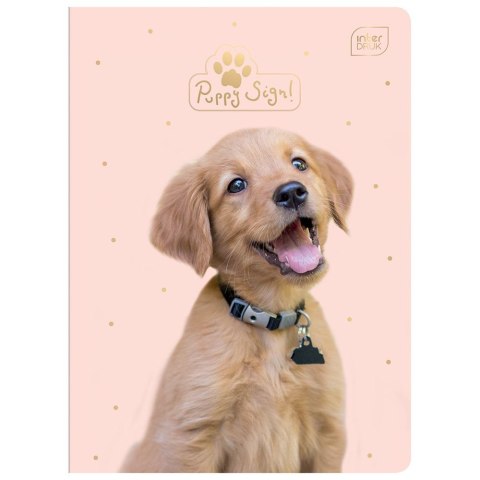 Zeszyt A5 PUPPY SIGN 32k. 70g krata Interdruk (ZE32#PUP)