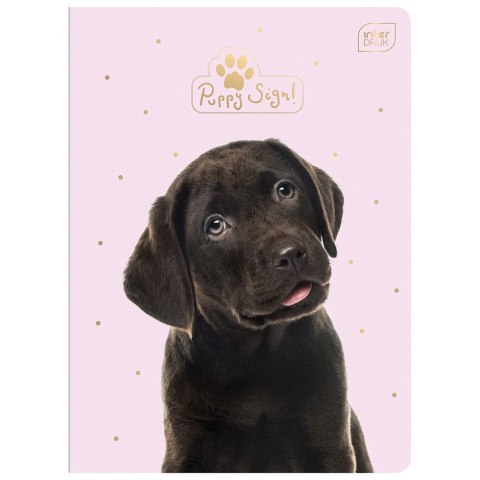 Zeszyt A5 PUPPY SIGN 32k. 70g krata Interdruk (ZE32#PUP)