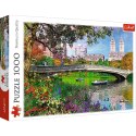 Puzzle Central Park,New York 1000 el. Trefl (10467)