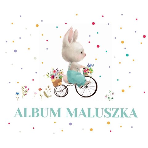 Książeczka edukacyjna Zielona Sowa Album maluszka