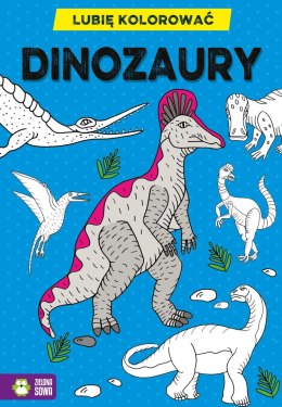 Książeczka edukacyjna Zielona Sowa Lubię kolorować. Dinozaury