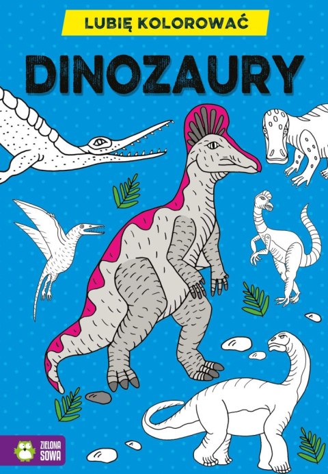 Książeczka edukacyjna Zielona Sowa Lubię kolorować. Dinozaury