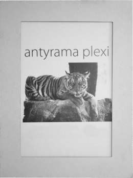 Antyrama Raw-West plexi plexi [mm:] 600x800