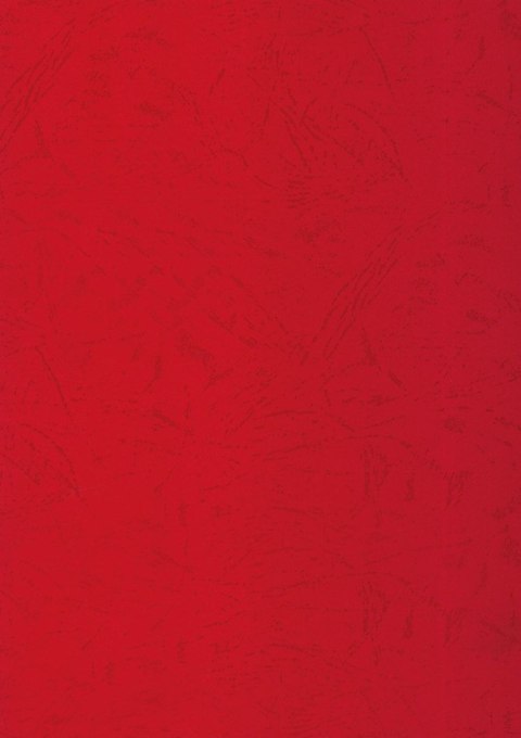 Karton do bindowania skóropodobny A4 czerwony 250g Titanum