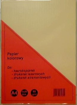 Papier kolorowy Rogatin A4 mix 80g