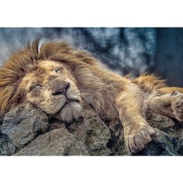 Puzzle Śpiący lew 1000 el. Trefl (10447)