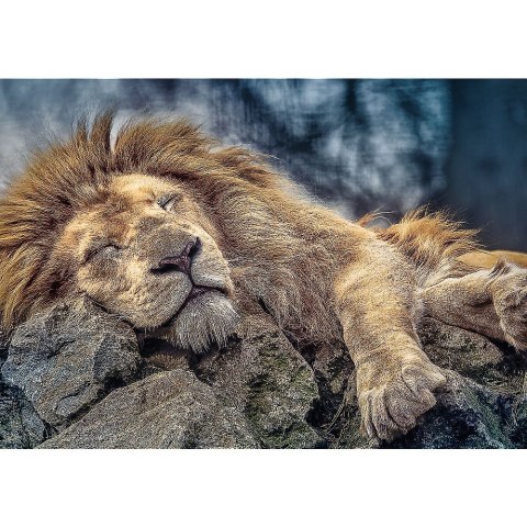 Puzzle Śpiący lew 1000 el. Trefl (10447)