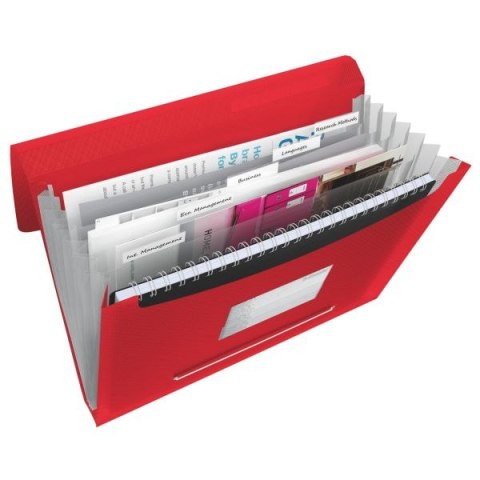 Teczka z przegródkami Vivida A4 kolor: czerwony 6 przegródek [mm:] 330x260 Esselte (624016)
