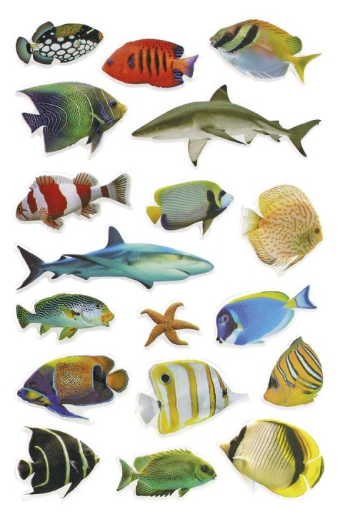 Naklejka (nalepka) Craft-Fun Series Ryby Titanum (PPT04)