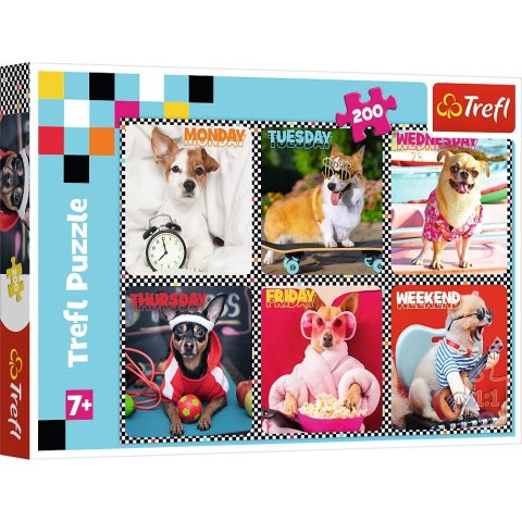 Puzzle 200 el. Trefl (113279)