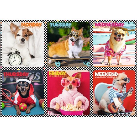 Puzzle 200 el. Trefl (113279)