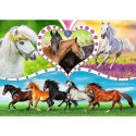 Puzzle Piękne konie 200 el. Trefl (13248)